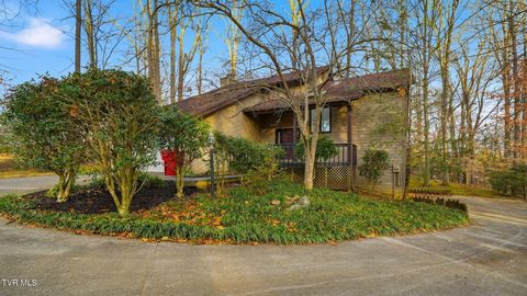 Photo of 8 Red Fern Circle, Johnson City, TN 37604 (MLS # 9989841)