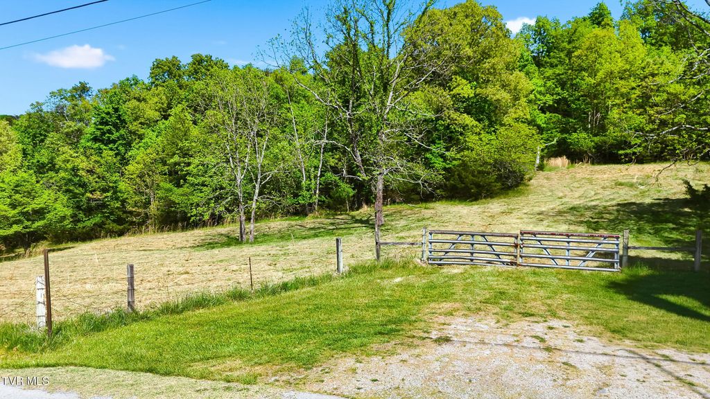 Photo of 178 Buttermilk, Johnson City, TN 37615 (MLS # 9994871)