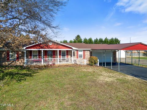 Photo of 178 Park Avenue, Greeneville, TN 37745 (MLS # 9989274)