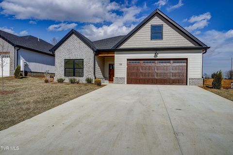 188 Dry Kiln Court Court Gray TN 37615