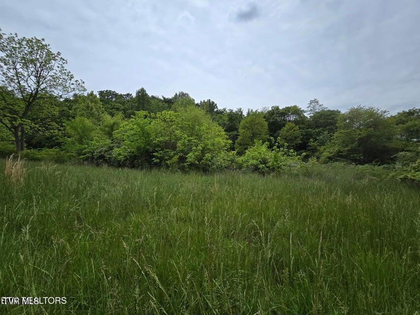 Tbd Boatmans Mountain Road, Morristown, Tennessee image 18