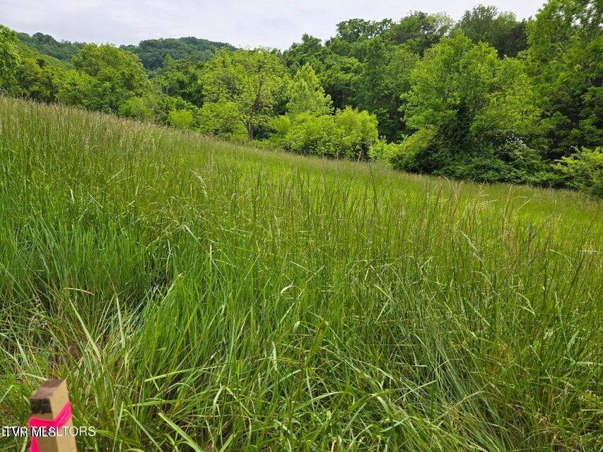 Tbd Boatmans Mountain Road, Morristown, Tennessee image 5