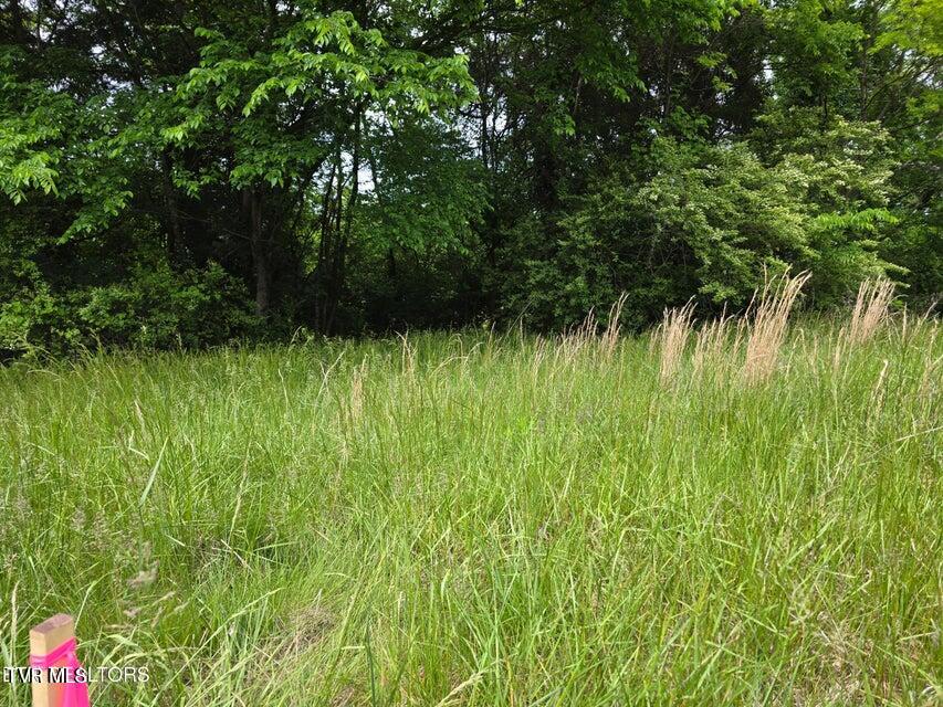 Tbd Boatmans Mountain Road, Morristown, Tennessee image 7