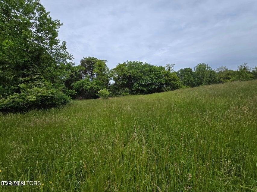 Tbd Boatmans Mountain Road, Morristown, Tennessee image 23