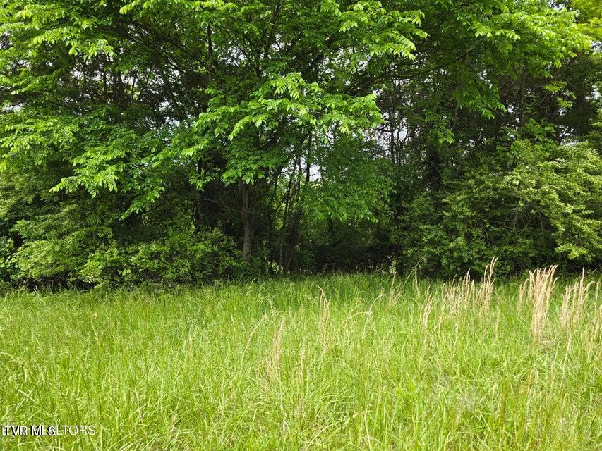 Tbd Boatmans Mountain Road, Morristown, Tennessee image 27