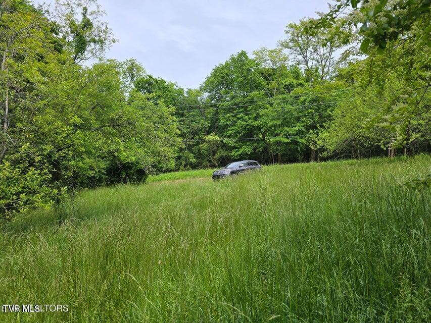 Tbd Boatmans Mountain Road, Morristown, Tennessee image 36