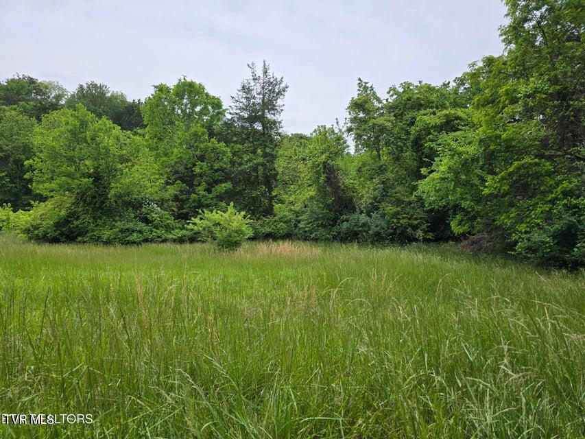 Tbd Boatmans Mountain Road, Morristown, Tennessee image 22
