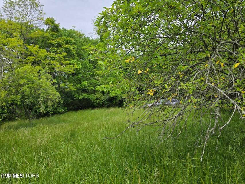 Tbd Boatmans Mountain Road, Morristown, Tennessee image 37