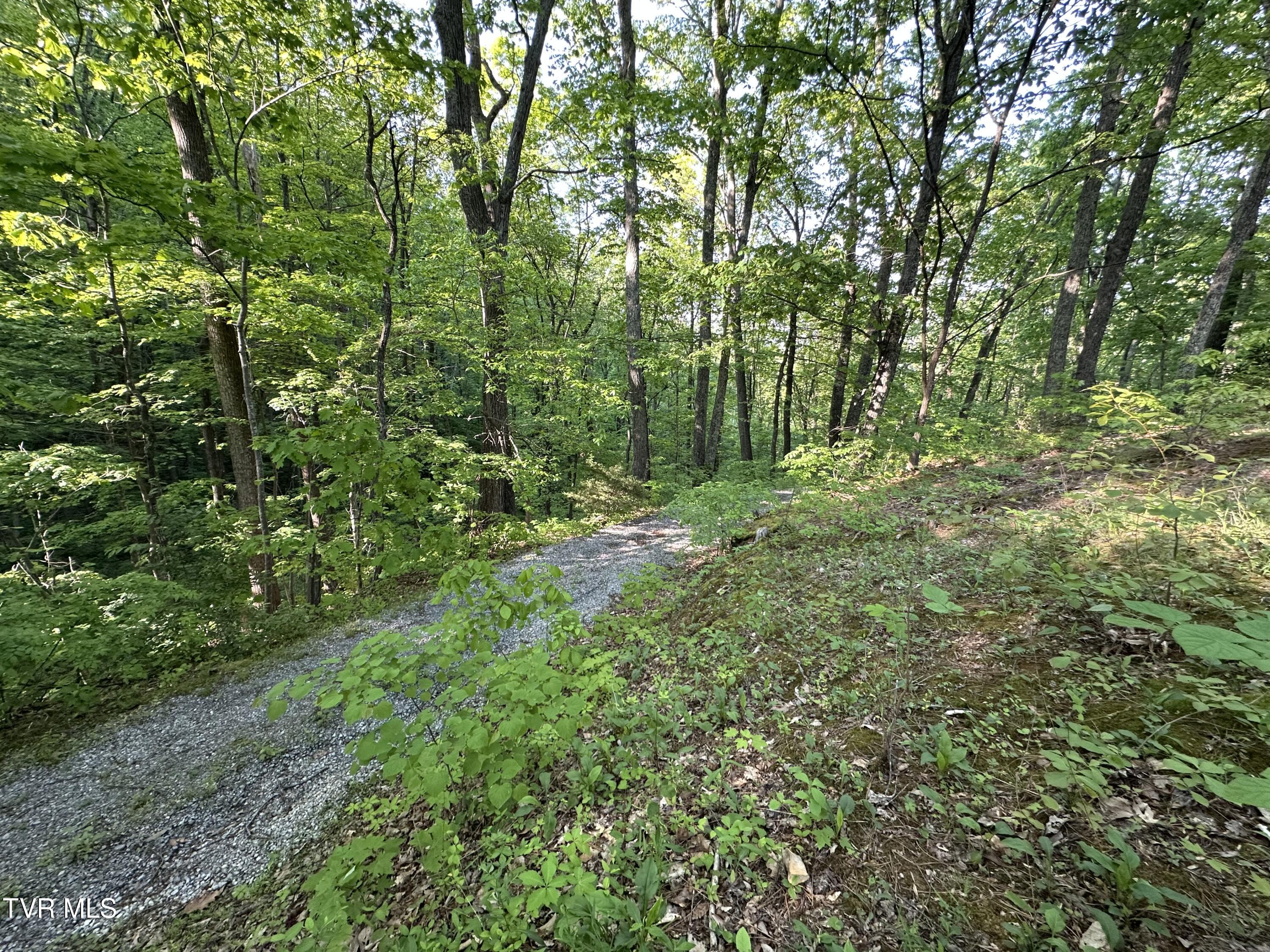 965 Mountain Trail Drive, Newport, Tennessee image 23