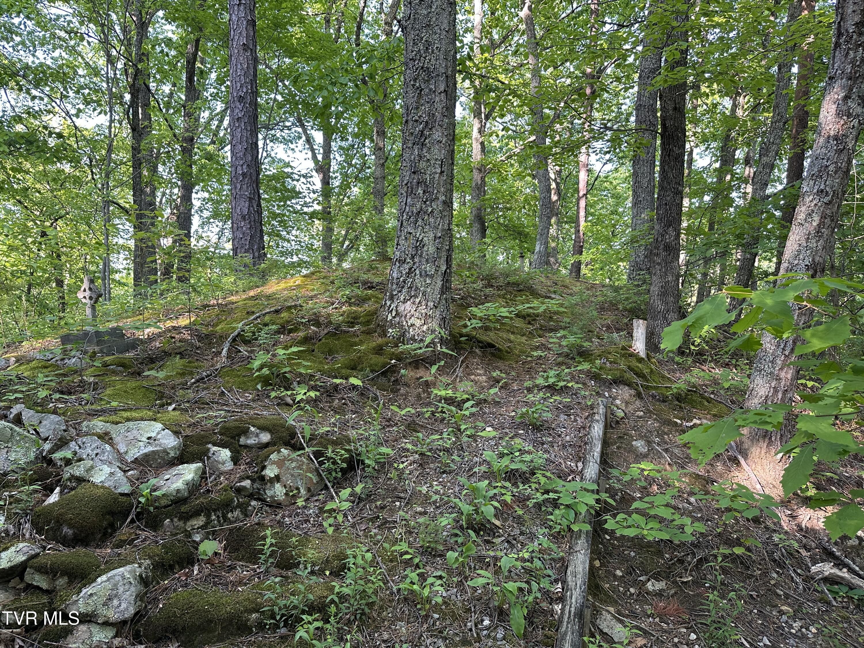 965 Mountain Trail Drive, Newport, Tennessee image 21