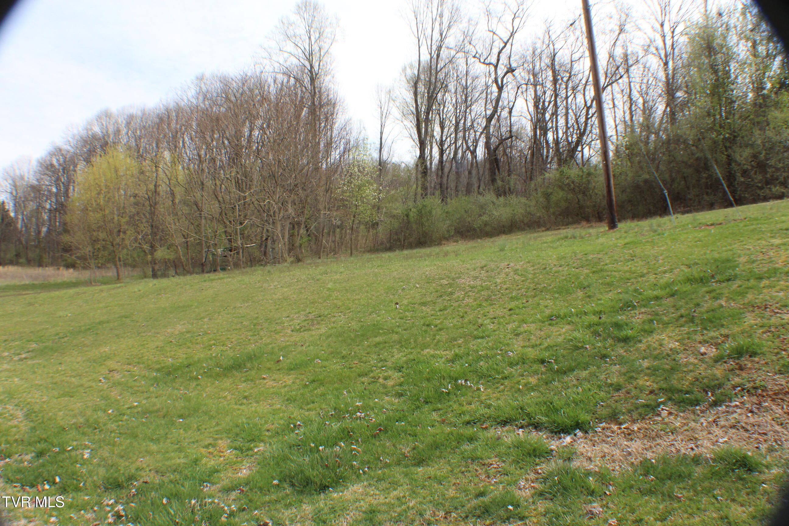 1091 Shipley Ferry Road Rd, Blountville, Tennessee image 4