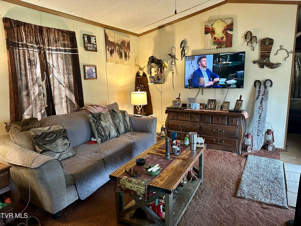 Photo of 8500 Old Stage Road, Limestone, TN 37681 (MLS # 9988956)