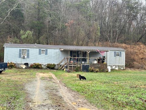 Photo of 8500 Old Stage Road, Limestone, TN 37681 (MLS # 9988956)