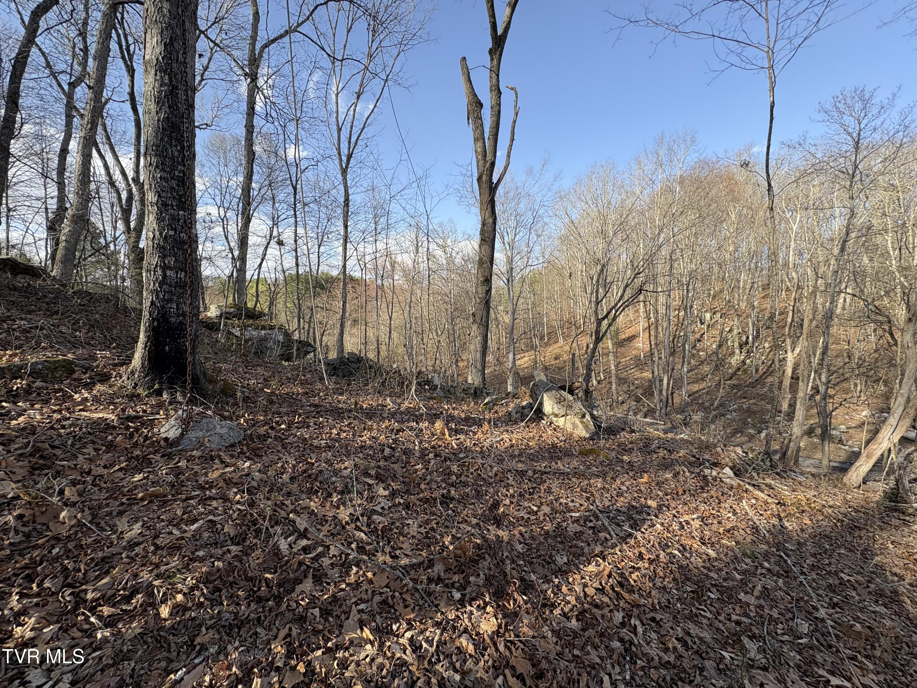 16100 Flags Road Rd, Saint Paul, Virginia image 1