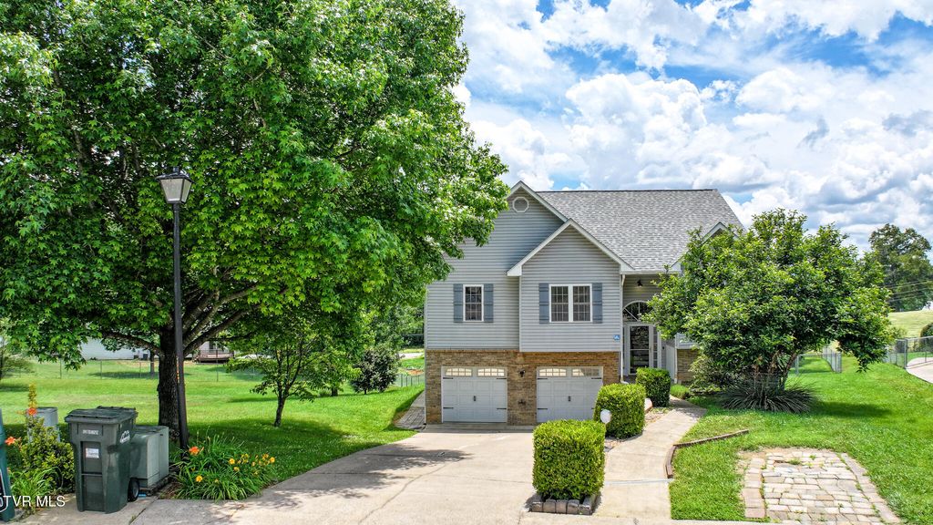 Photo of 220 Colricia Drive, Greeneville, TN 37745 (MLS # 9996212)