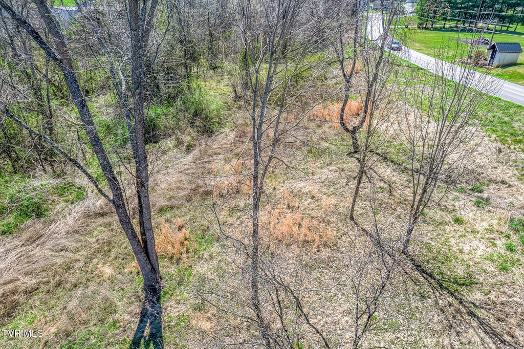 Photo of 145 Claude Simmons Road, Johnson City, TN 37604 (MLS # 9992873)