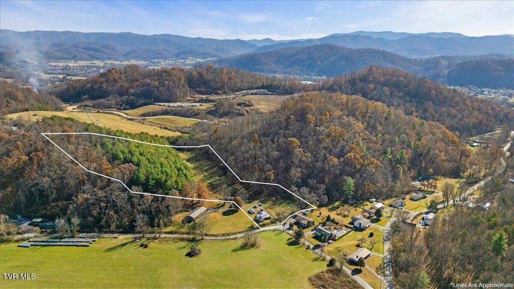 Photo of 118 Rocky Branch Road, Elizabethton, TN 37643 (MLS # 9988356)