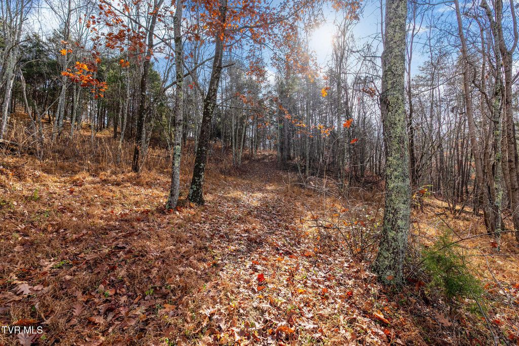Photo of Tbd Birds Eye View Lot 1, Jonesborough, TN 37659 (MLS # 9988773)