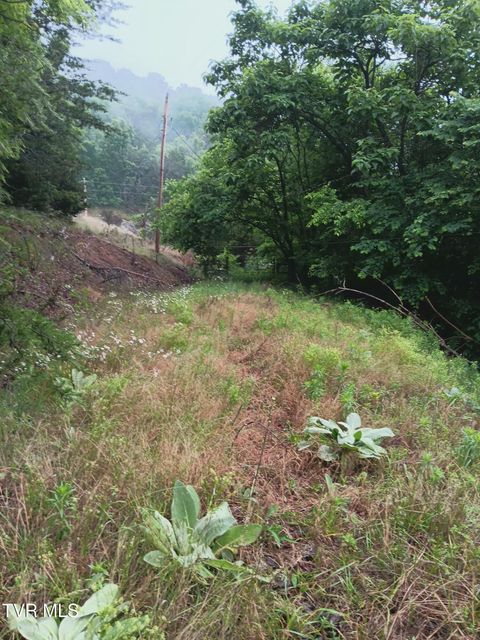 Vacant Land For Sale - 2595 Tn-31<br/> Mooresburg, TN 37811