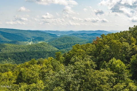 Vacant Land For Sale - 2595 Tn-31<br/> Hawkins County, Mooresburg, TN 37811