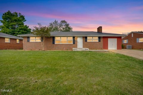 Photo of 812 Mimosa Drive, Kingsport, TN 37660 (MLS # 9993955)