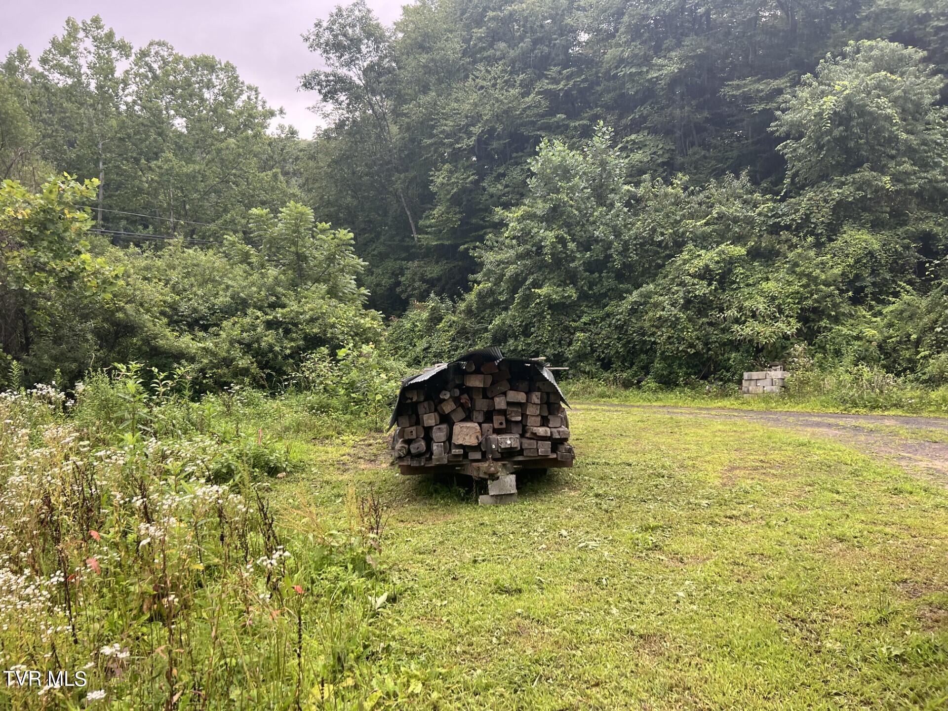 Tbd Abner Branch Road, Bee, Virginia image 4