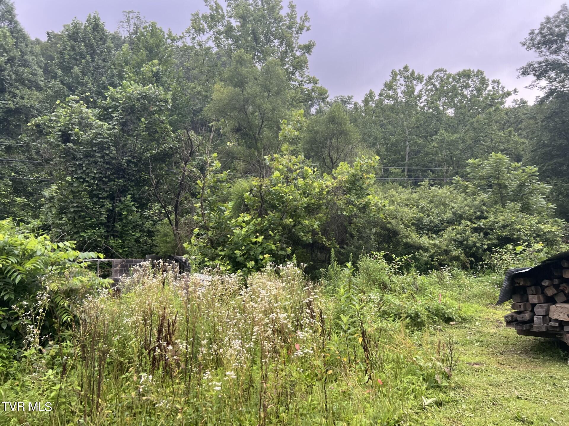 Tbd Abner Branch Road, Bee, Virginia image 1