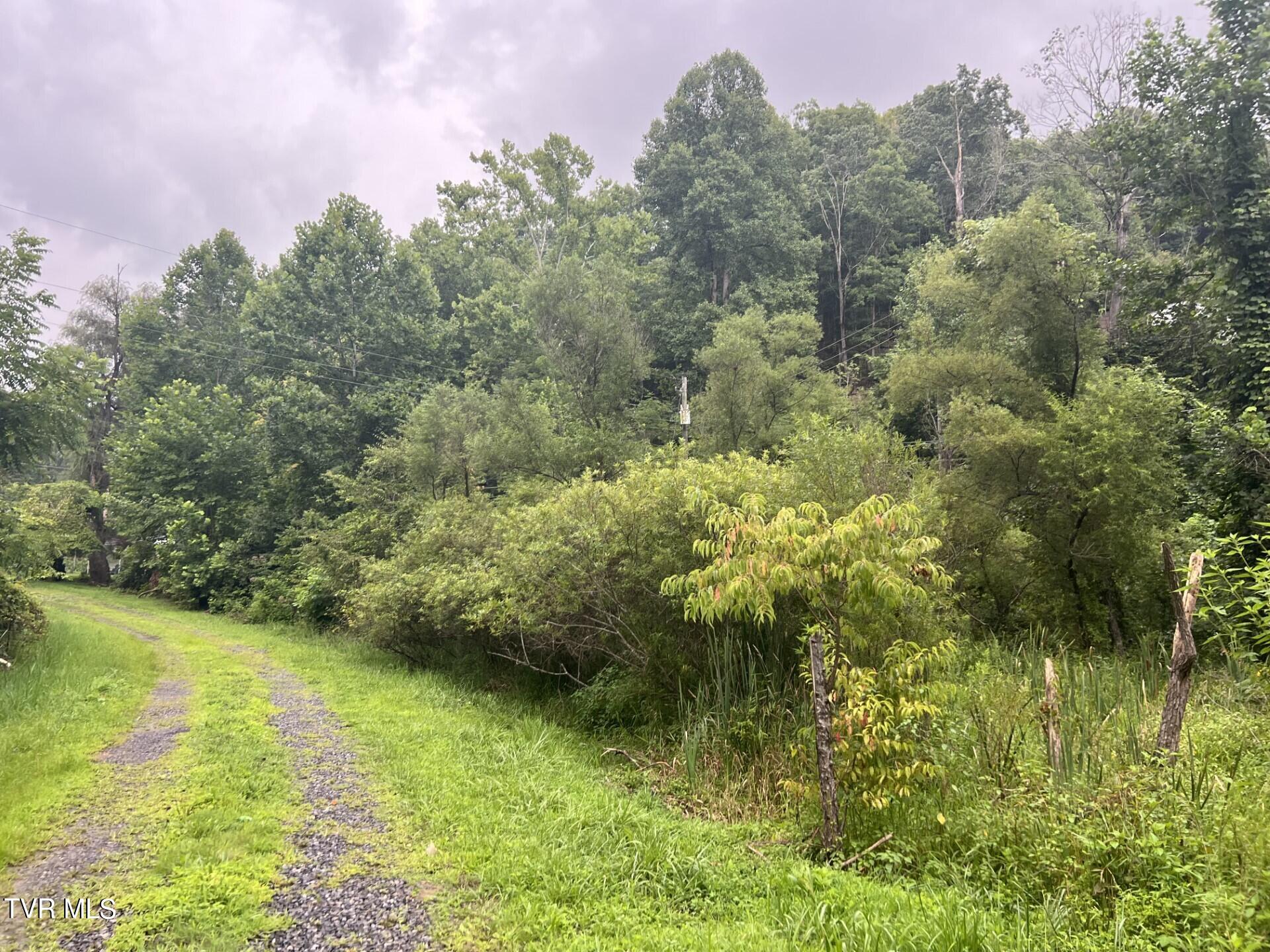 Tbd Abner Branch Road, Bee, Virginia image 3