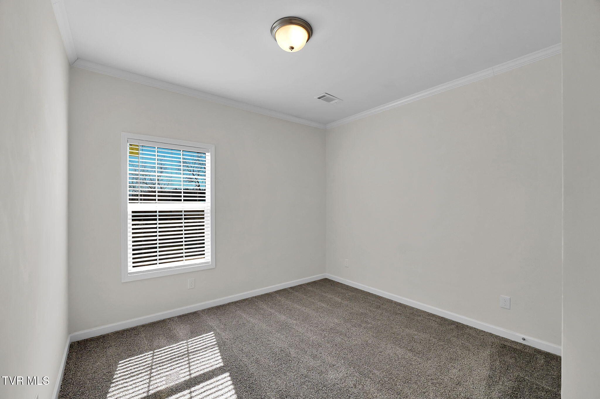 18150 Fortunes Way, Abingdon, Virginia image 42