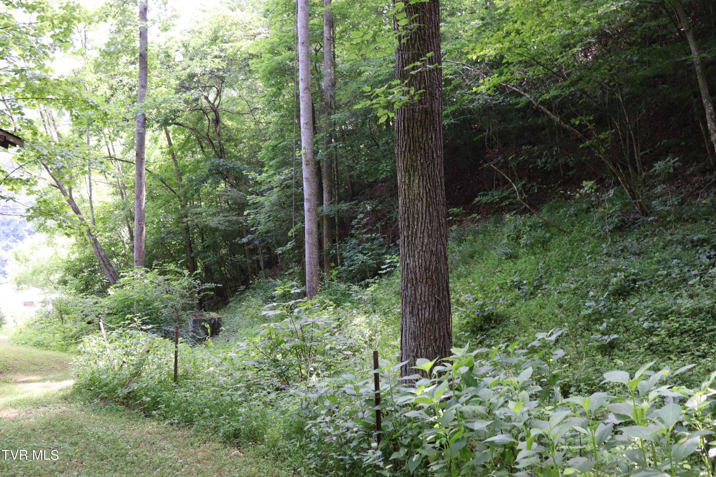 1458 Fairview Road, Duffield, Virginia image 37