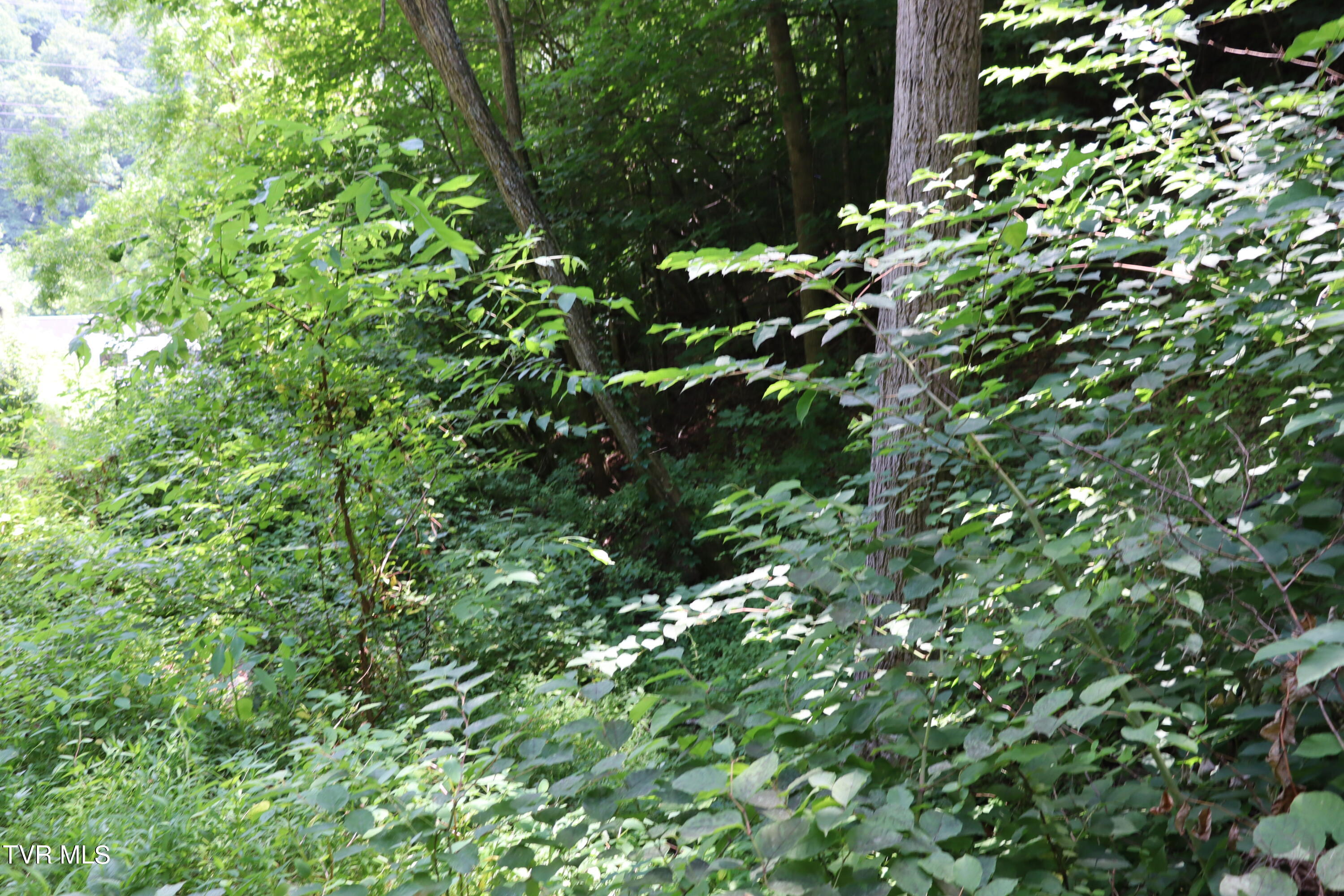 1458 Fairview Road, Duffield, Virginia image 40