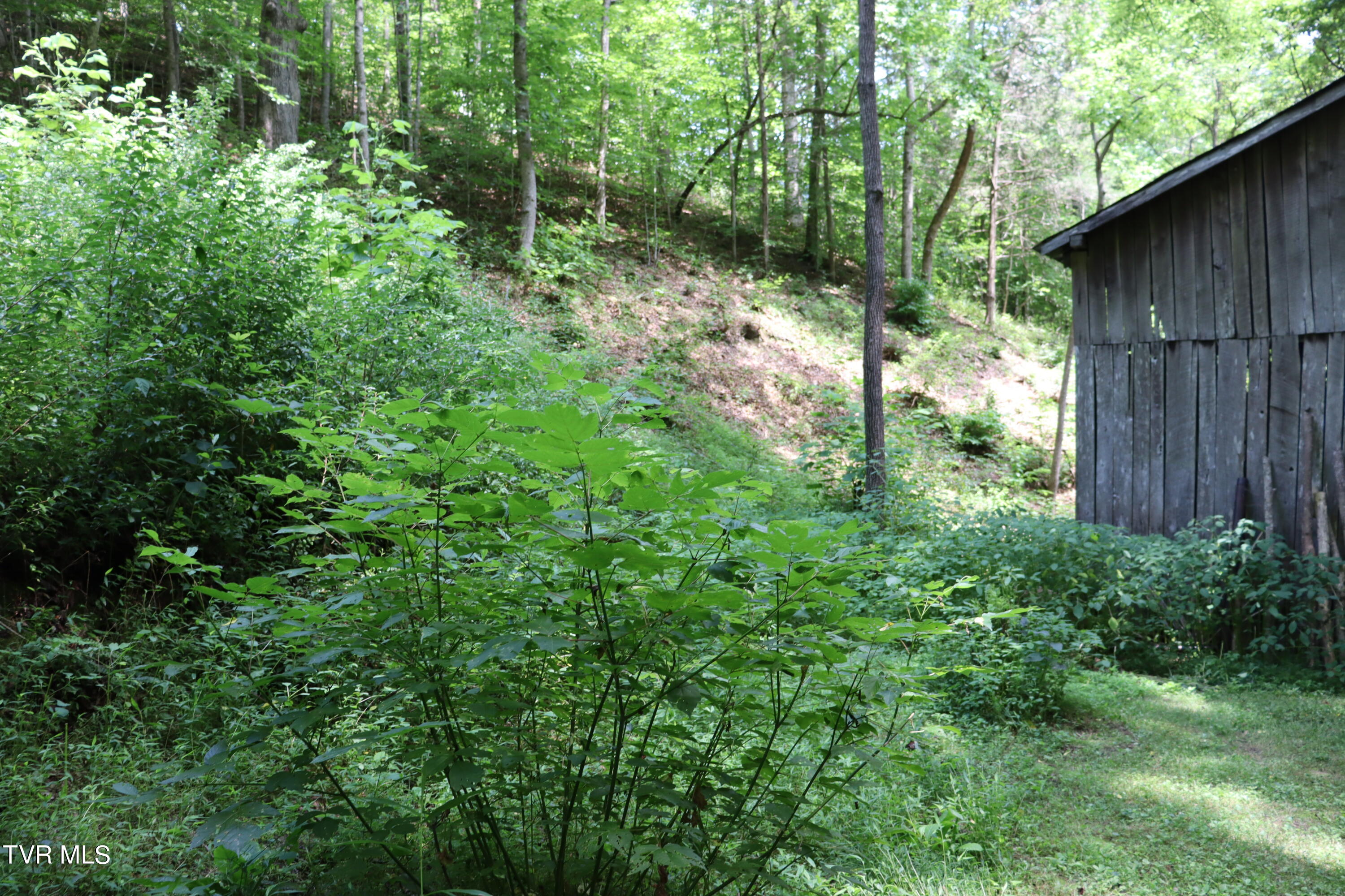 1458 Fairview Road, Duffield, Virginia image 36