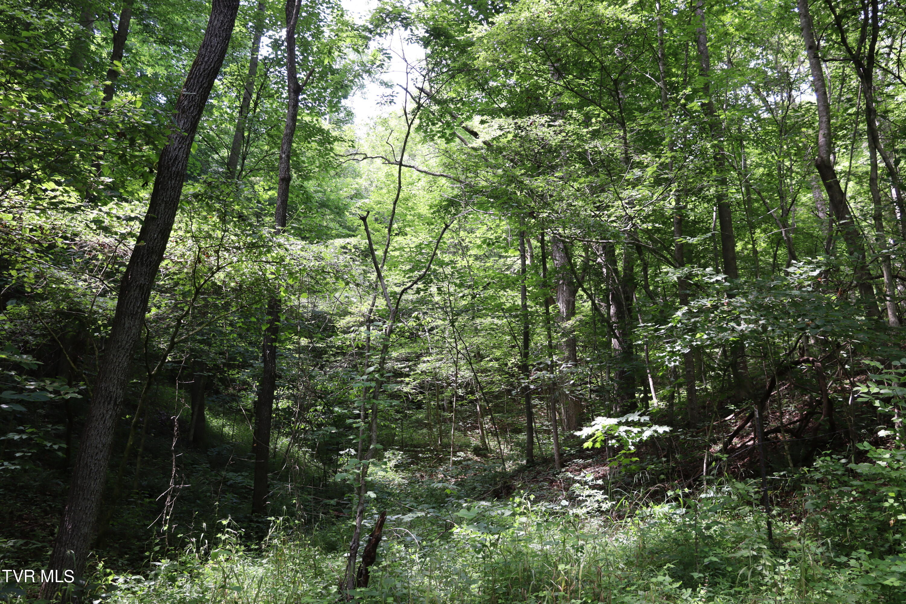 1458 Fairview Road, Duffield, Virginia image 38