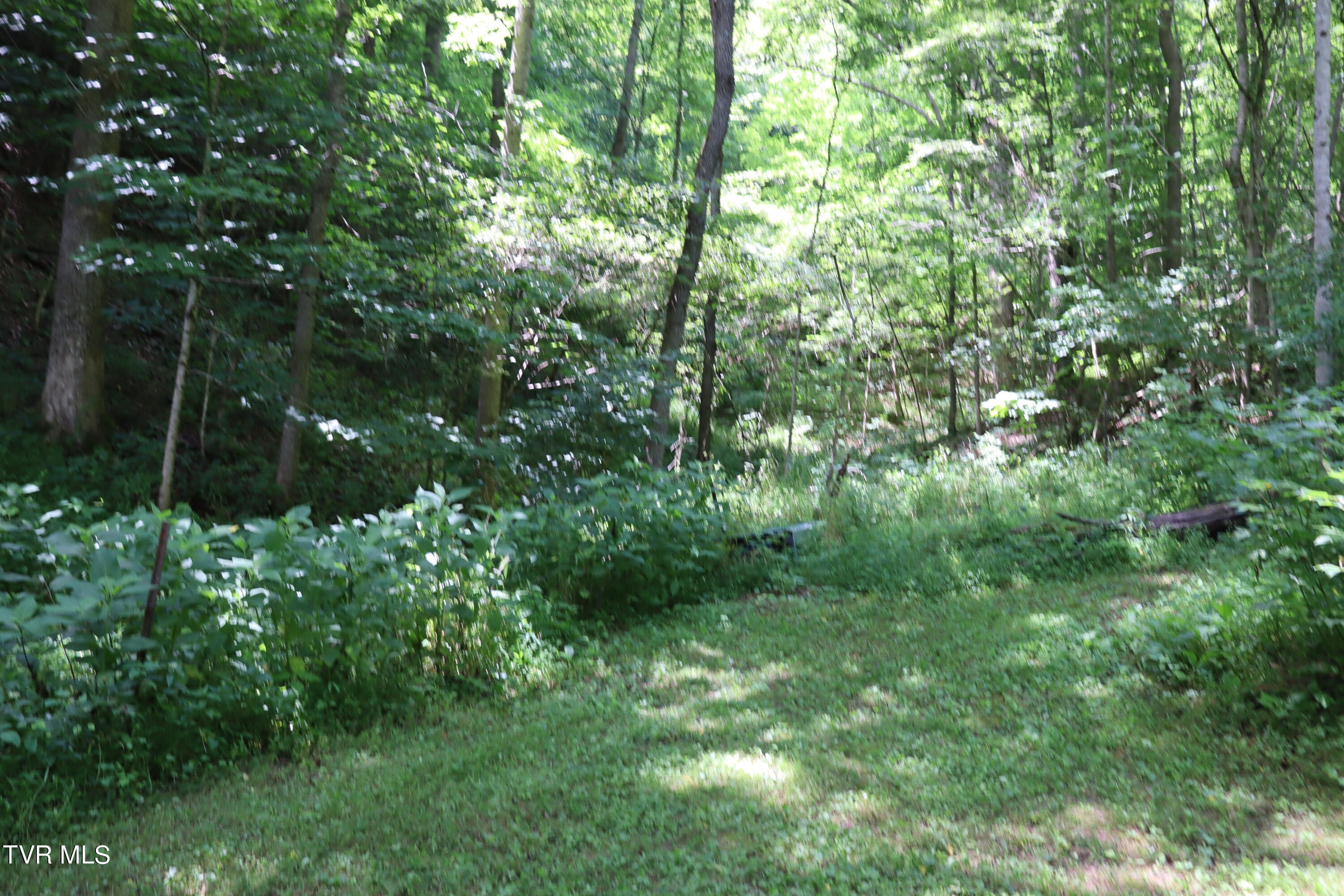 1458 Fairview Road, Duffield, Virginia image 39