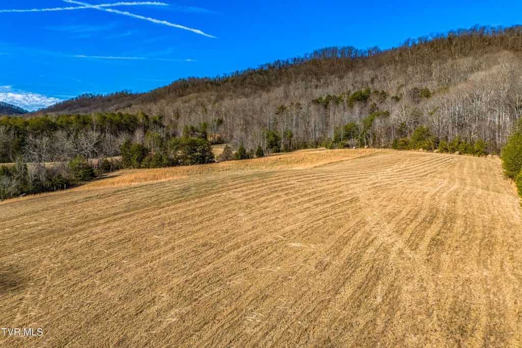Photo of Tbd Butcher Valley Rd, Rogersville, TN 37857 (MLS # 9989549)