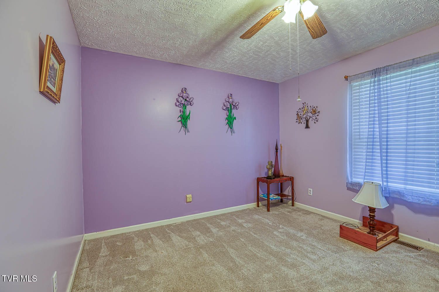259 Bray Road, Surgoinsville, Tennessee image 31