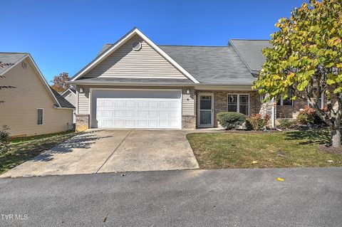 Photo of 527 Redstone Drive Dr #6, Bristol, TN 37620 (MLS # 9988121)