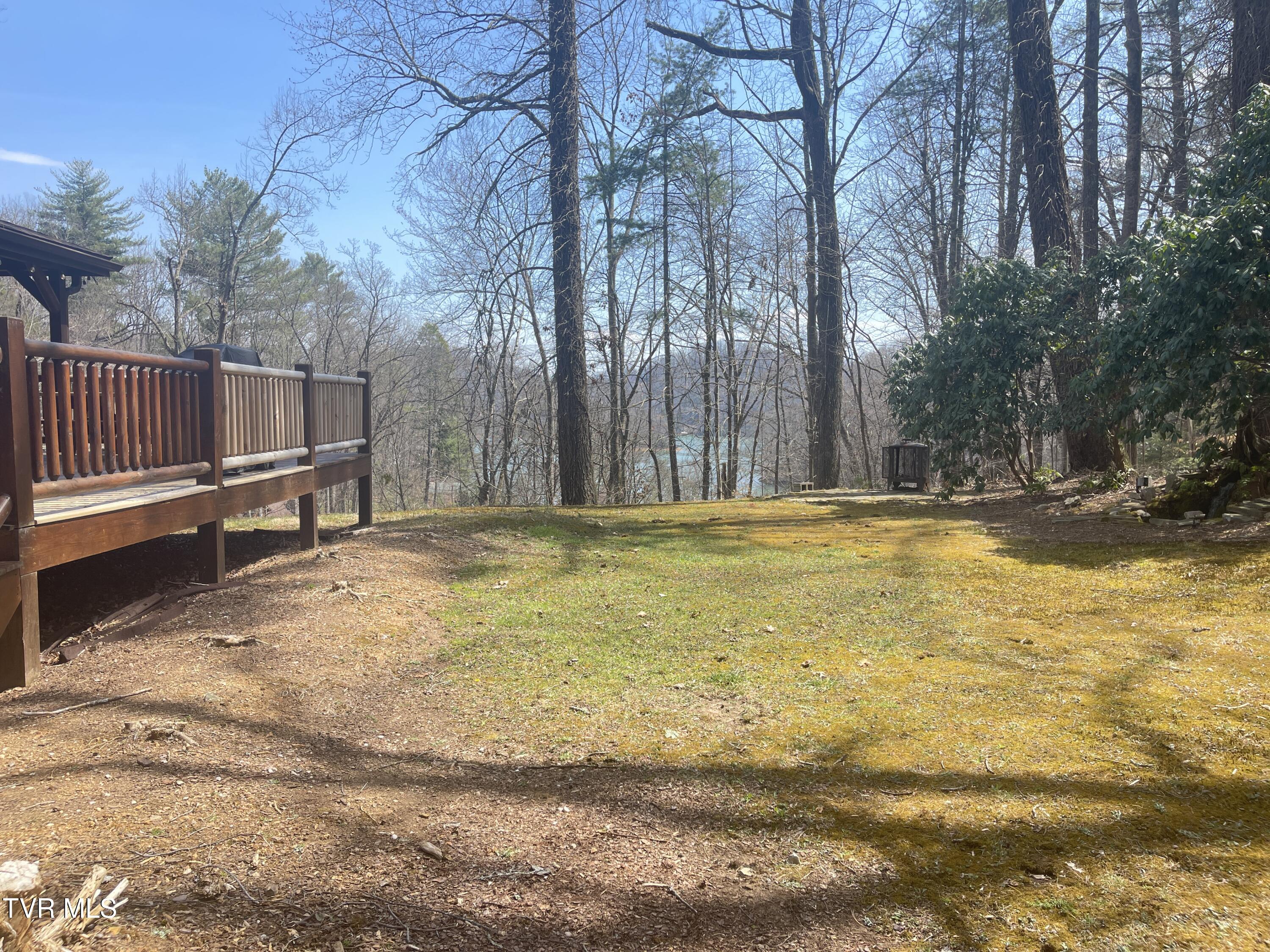 236 Lakeside Drive, Butler, Tennessee image 7