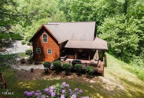 236 Lakeside Drive, Butler, Tennessee image 4
