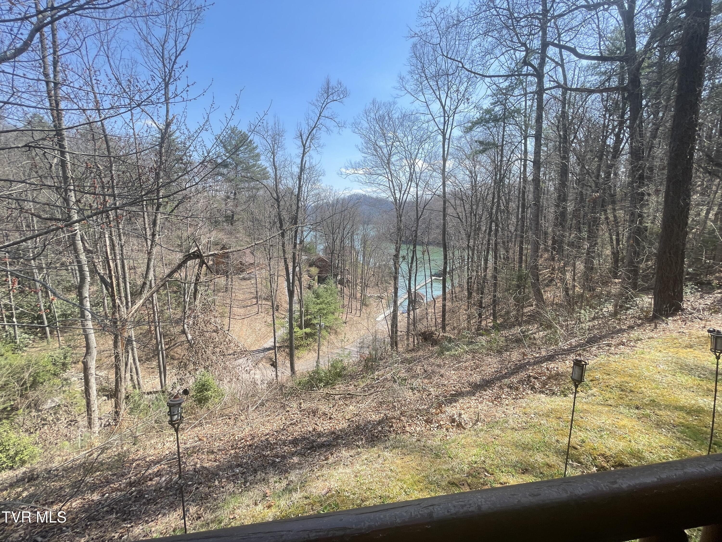 236 Lakeside Drive, Butler, Tennessee image 40