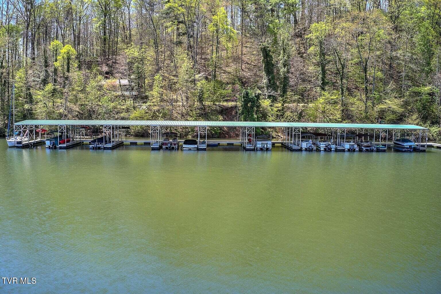 236 Lakeside Drive, Butler, Tennessee image 39