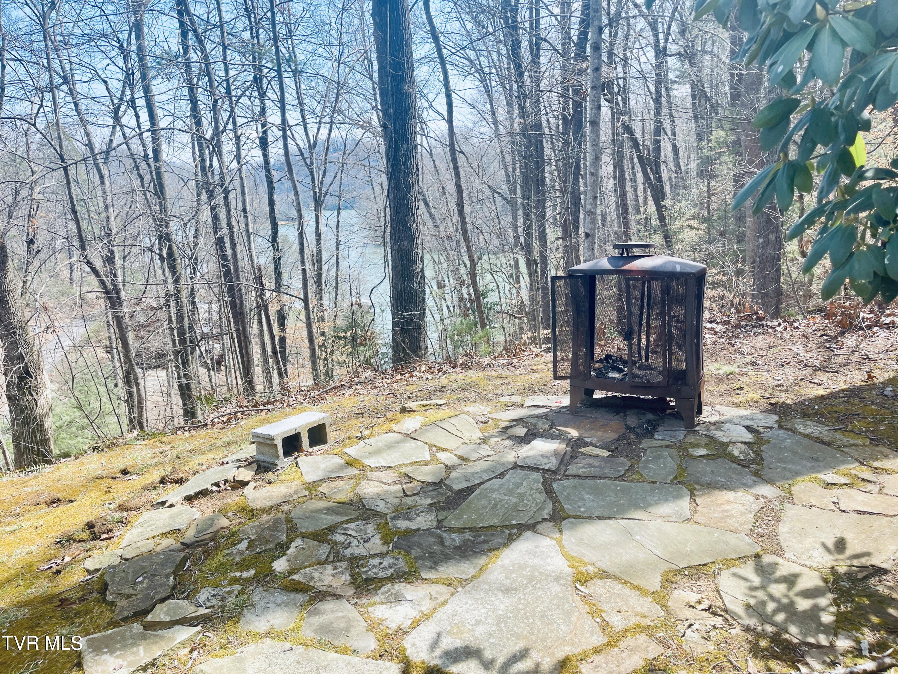 236 Lakeside Drive, Butler, Tennessee image 10