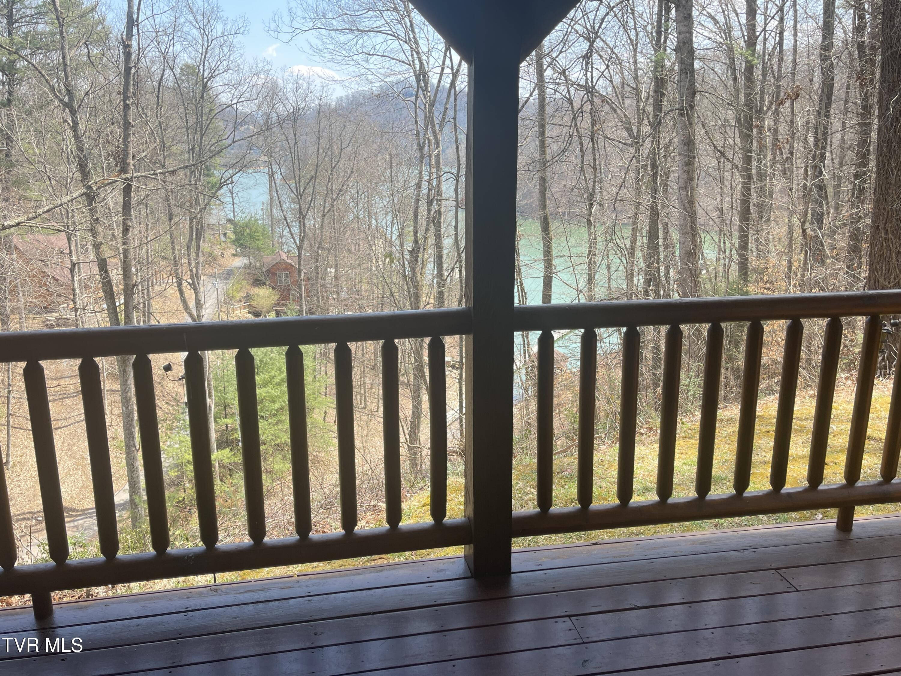 236 Lakeside Drive, Butler, Tennessee image 5