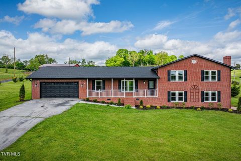 Photo of 518 Providence Road, Limestone, TN 37681 (MLS # 9994722)