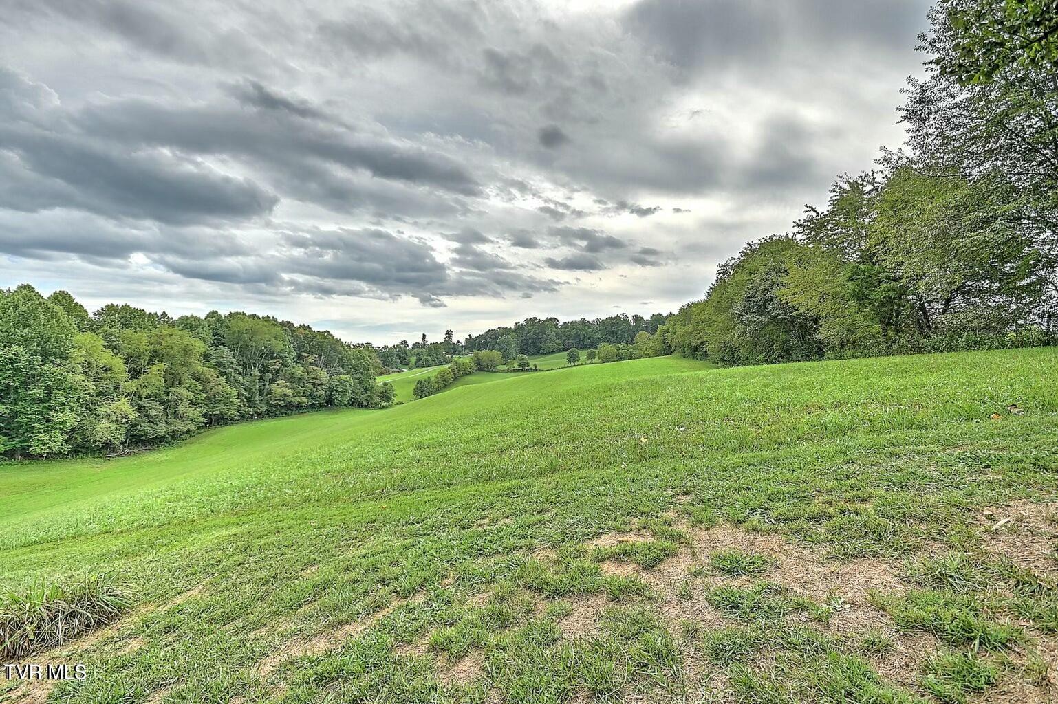 260 Collingwood Drive, Bristol, Tennessee image 49