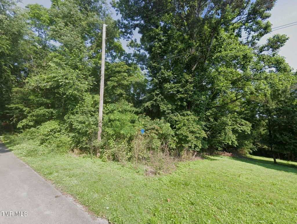 Photo of 1430 Skyline Drive, New Market, TN 37820 (MLS # 9989110)