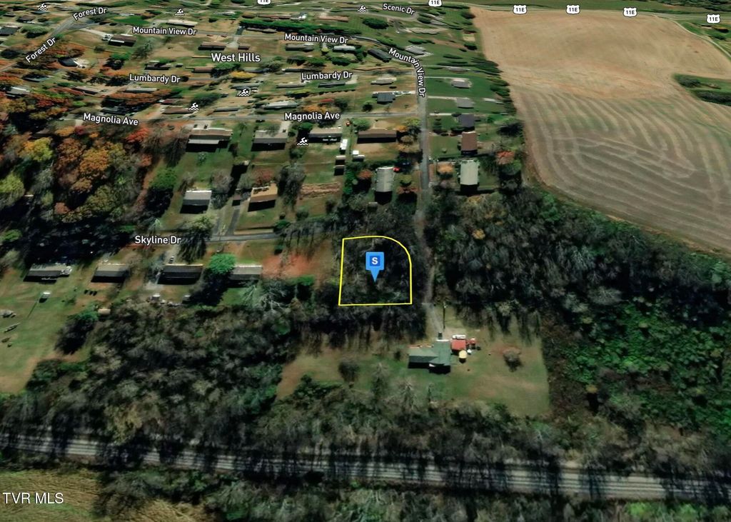 Photo of 1430 Skyline Drive, New Market, TN 37820 (MLS # 9989110)