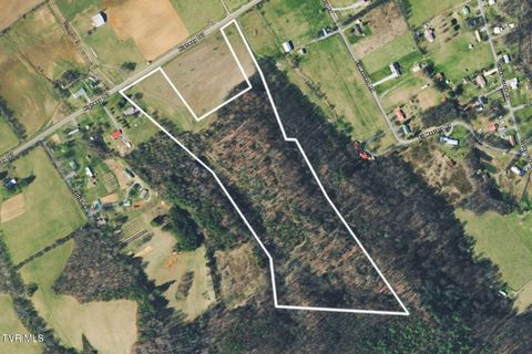 Vacant Land For Sale - 1685 Highway 107 - 30 Acre<br/> Jonesborough, TN 37659
