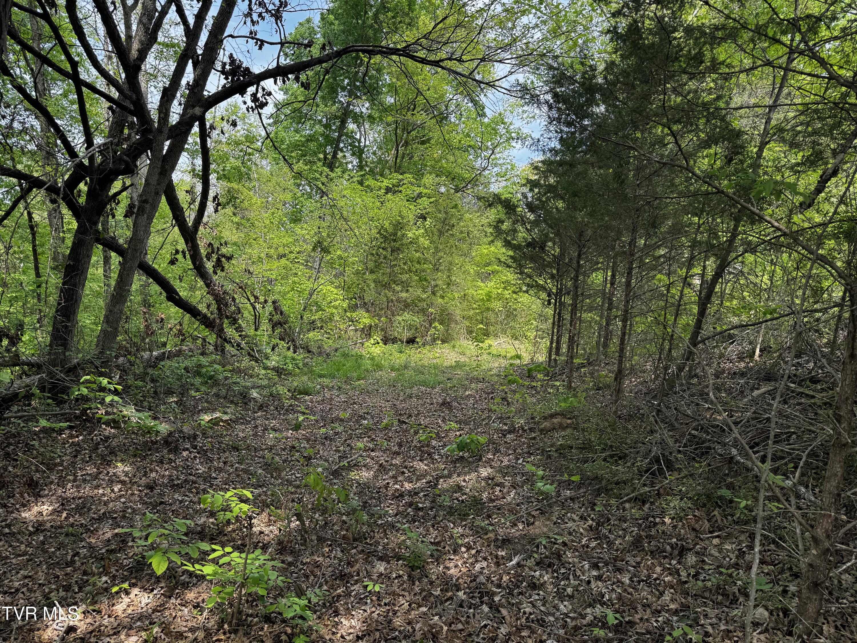 5.23 Ac Dogwalk Road