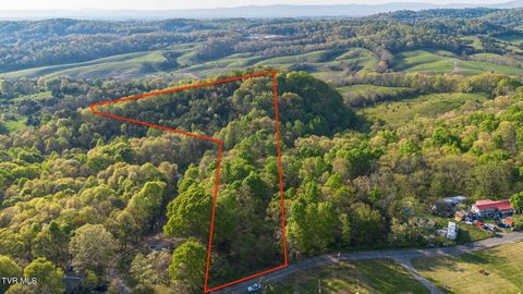 5.23 Ac Dogwalk Road Greeneville TN 37745